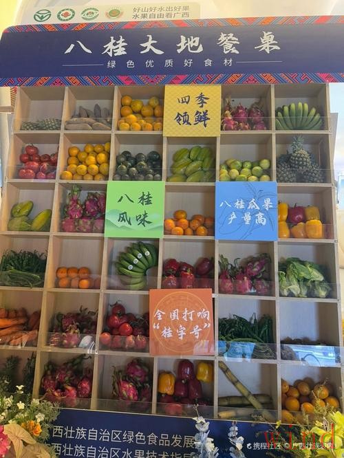 皇冠直播app入口地址整理 皇冠直播app入口地址整理